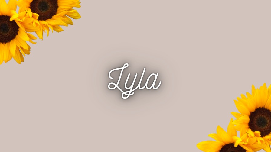 name written in stylish font